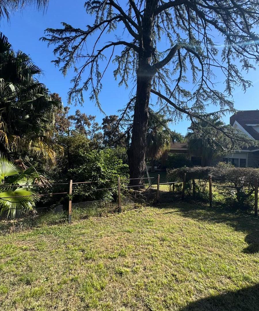 Foto de Terreno en venta, San Martin, imagen 4