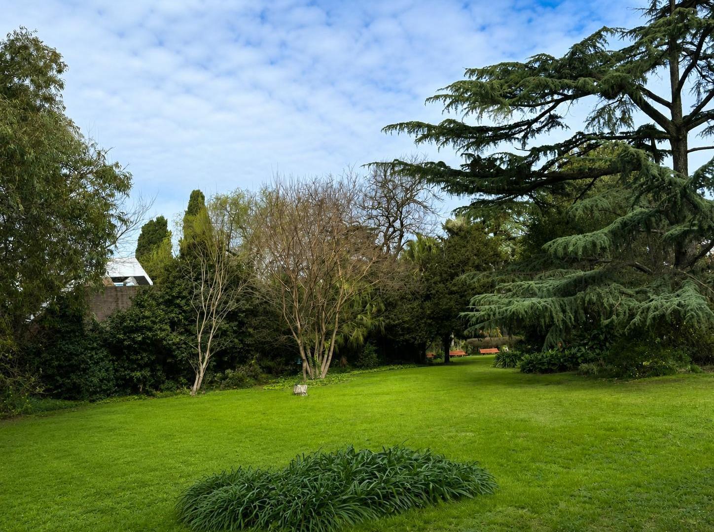Foto de Terreno en venta, San Martin, imagen 3