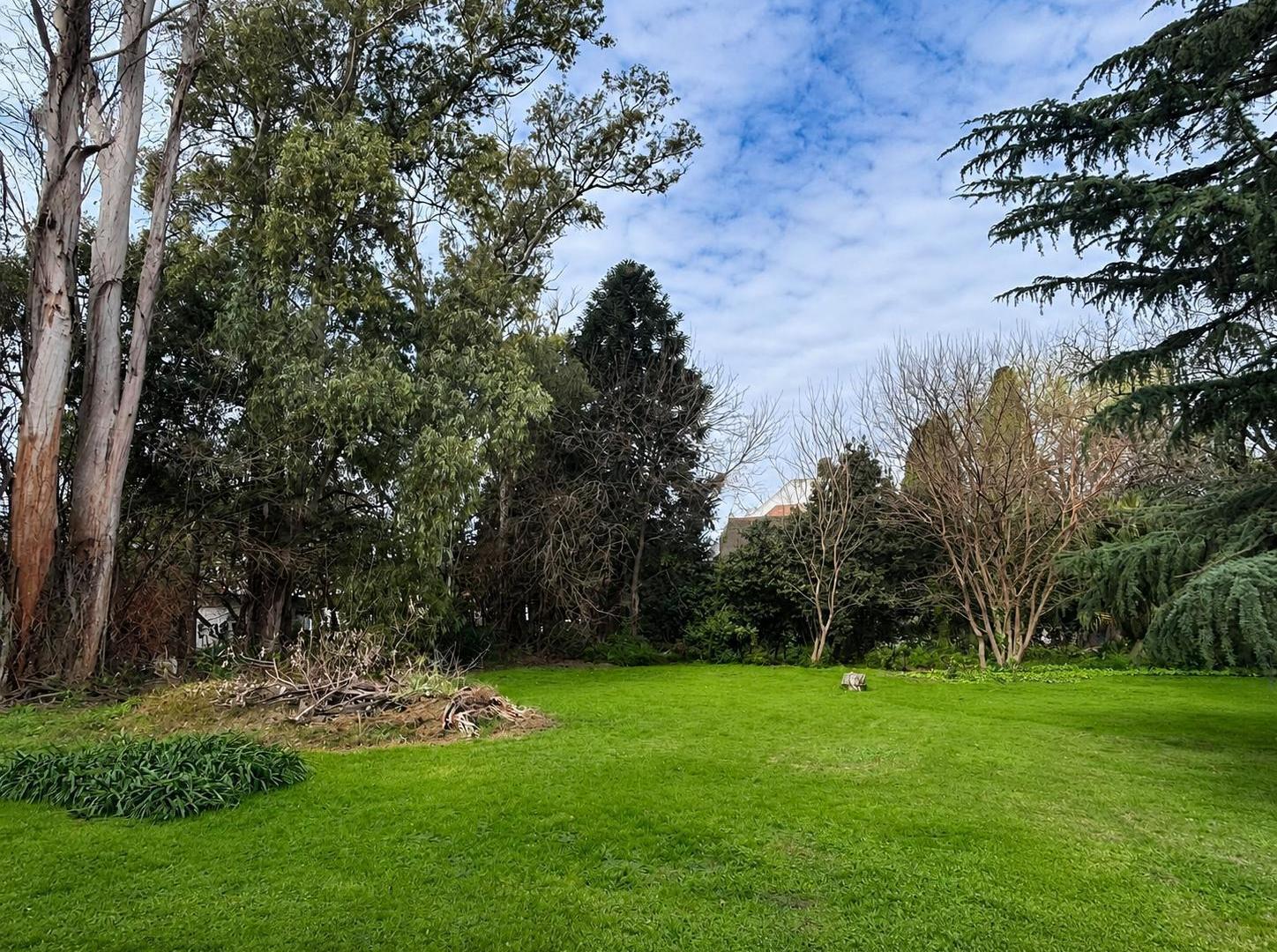 Foto de Terreno en venta, San Martin, imagen 1
