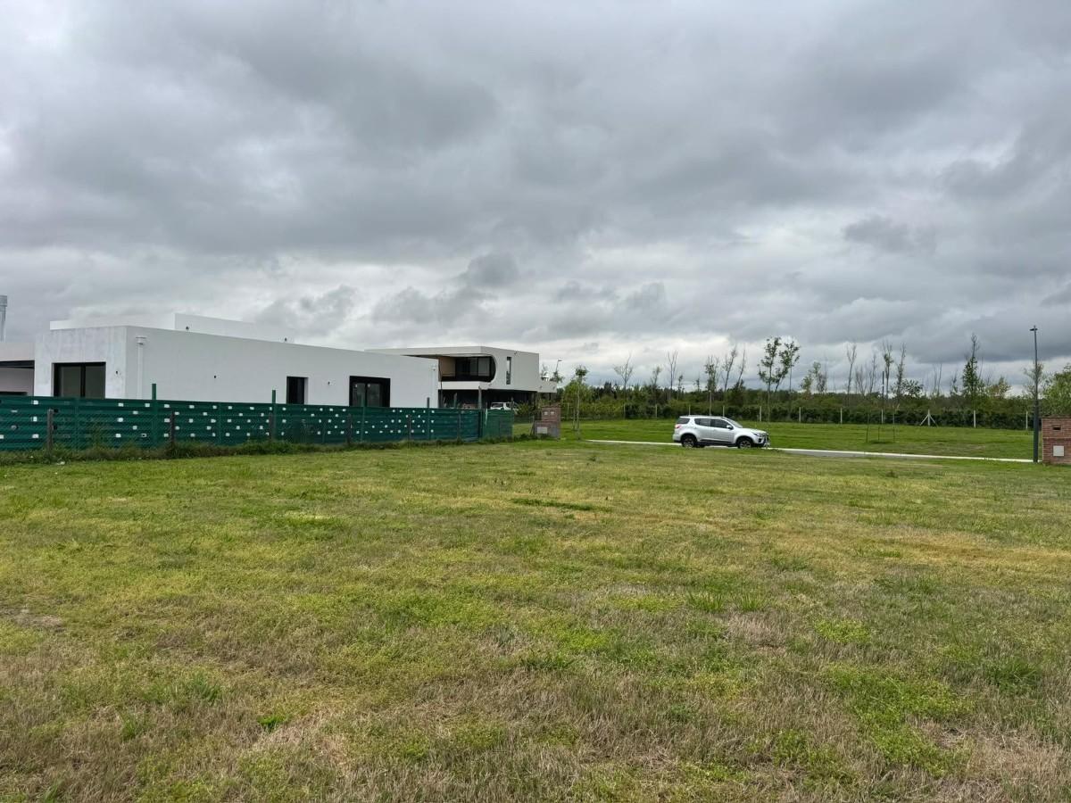 Foto de Terreno en Nativas, imagen 2