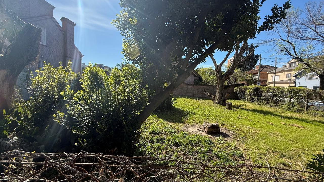 Foto de Terreno en Martinez vías a Libertador, imagen 2