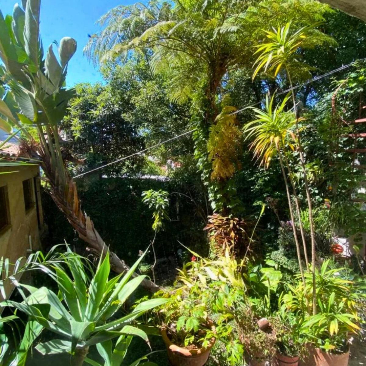 Casa - Tigre 2