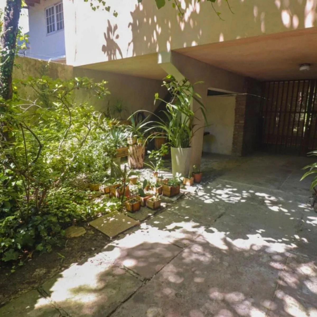 Casa - Tigre 4