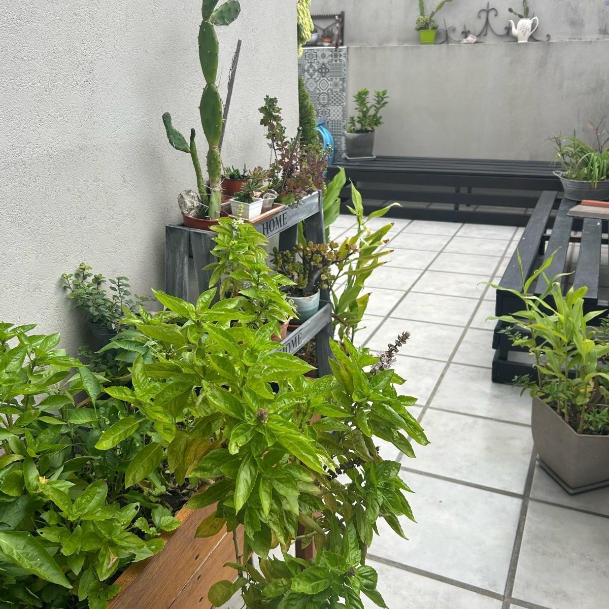 Departamento - San Fernando 1