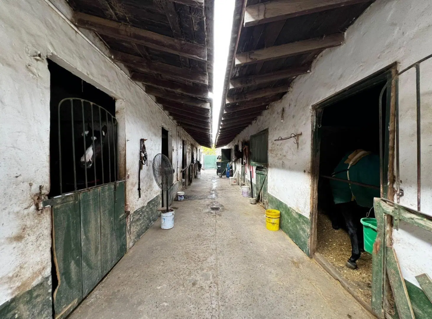 Stud en venta en San Isidro – Catamarca al 2000 3