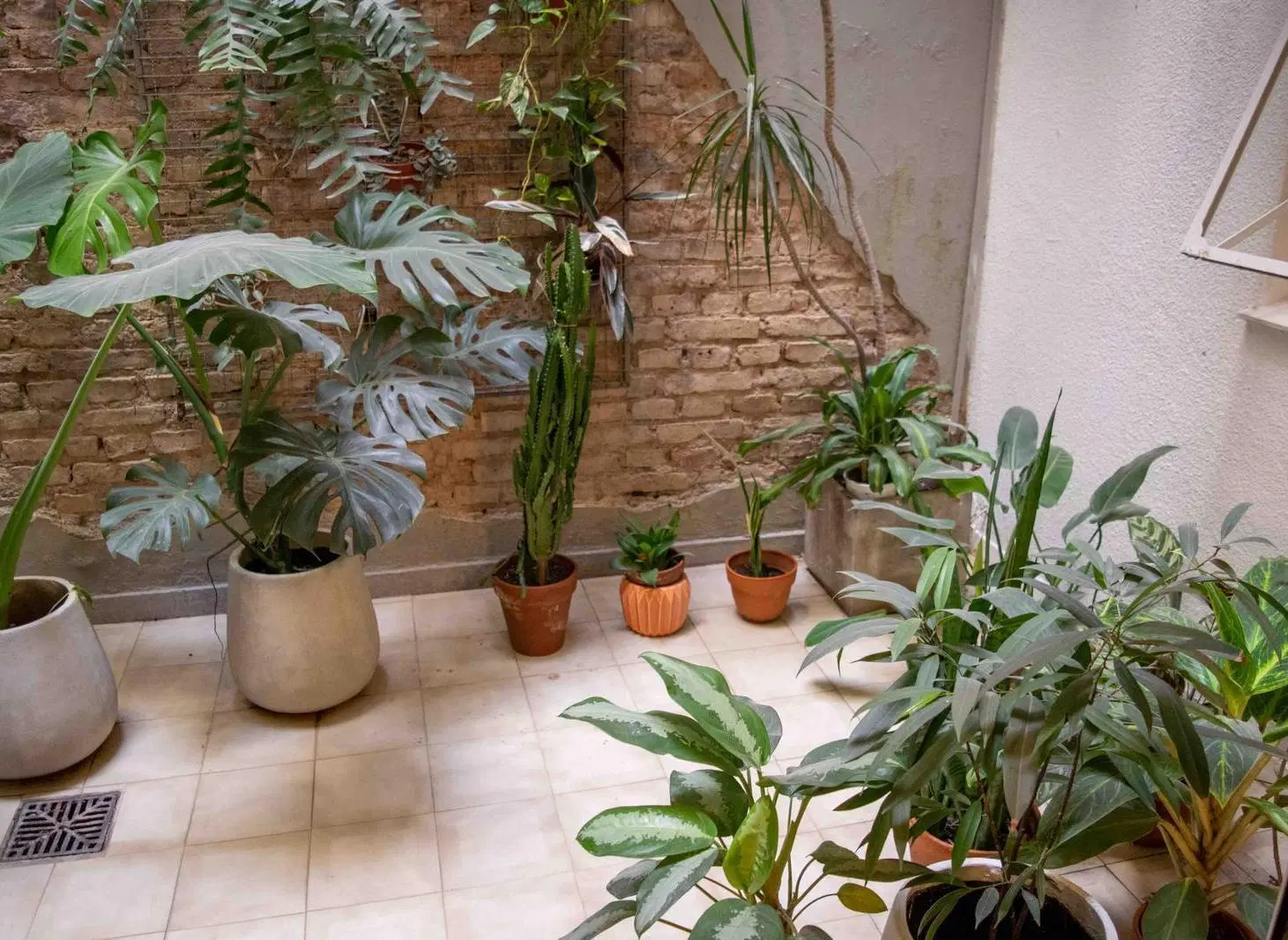 Departamento de 3 ambientes en alquiler en Olivos 2