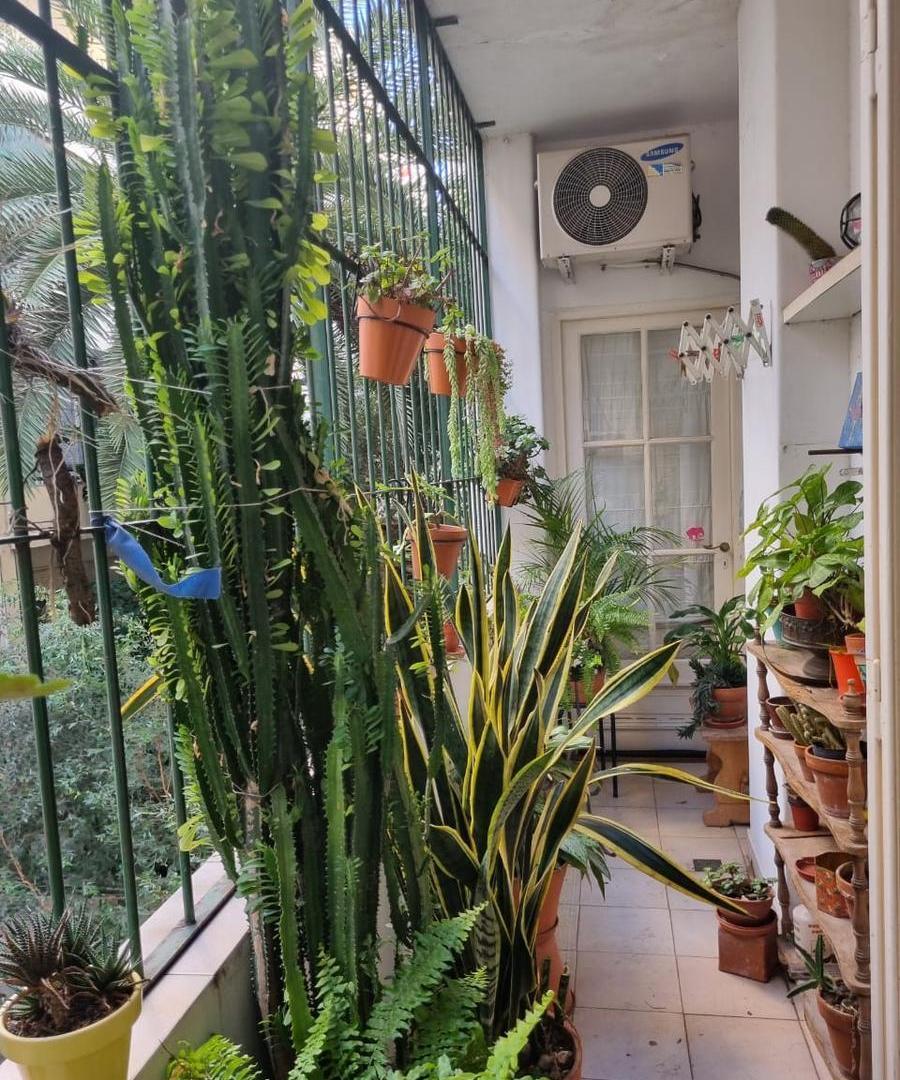 Foto de Departamento 3 ambientes en venta en Palermo, CABA, imagen 4