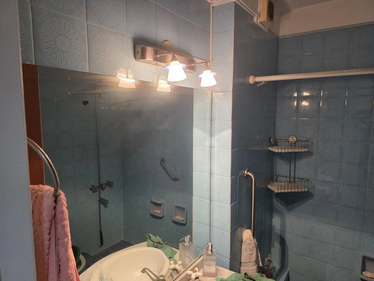 Alquiler  Recoleta 4 amb  balcón piso alto luz 4