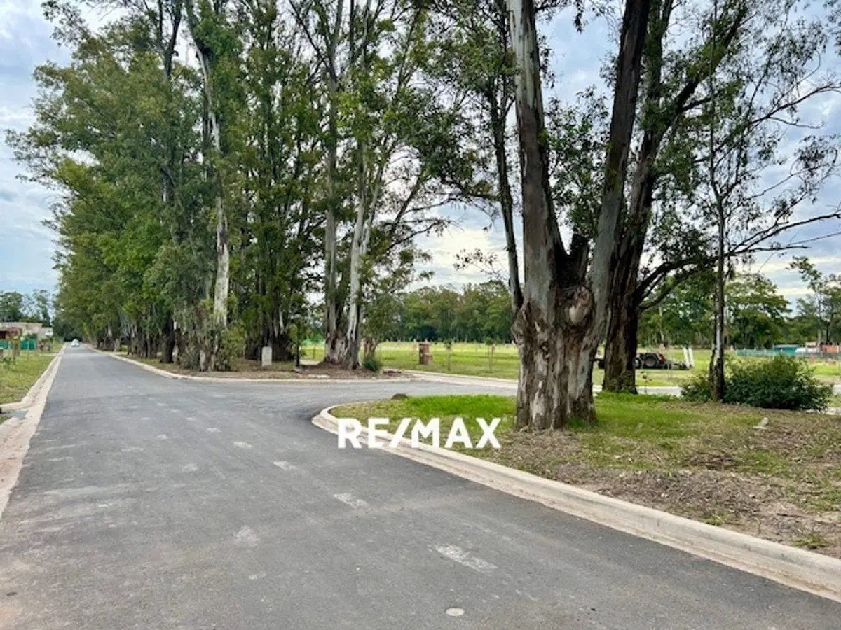 Lote Central Venta Santa Sofía ESCUCHA OFERTA 5