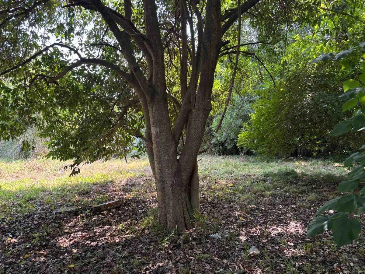 VENTA LOTES APTO DESARROLLO VILLA MORRA PILAR U-R3 3