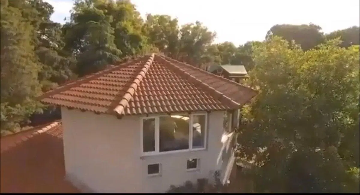 Nuevo precio de venta chacra de  17 hectáreas. 2