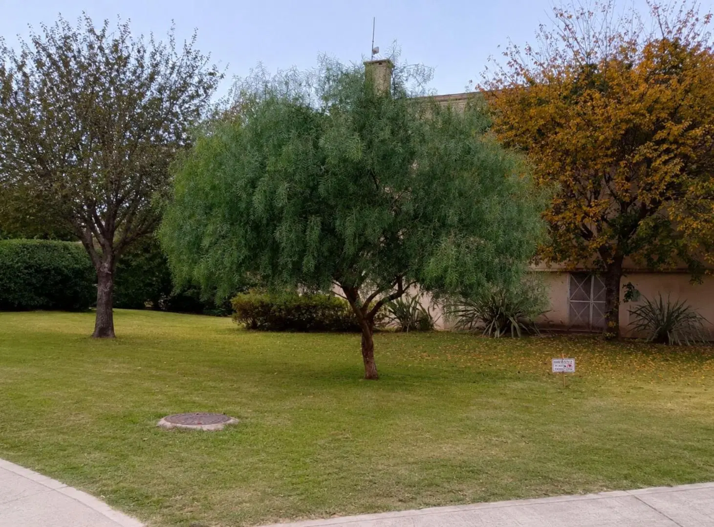 ALQUILER MONOAMBIENTE CON JARDIN ALTOS DEL MOLINO 3