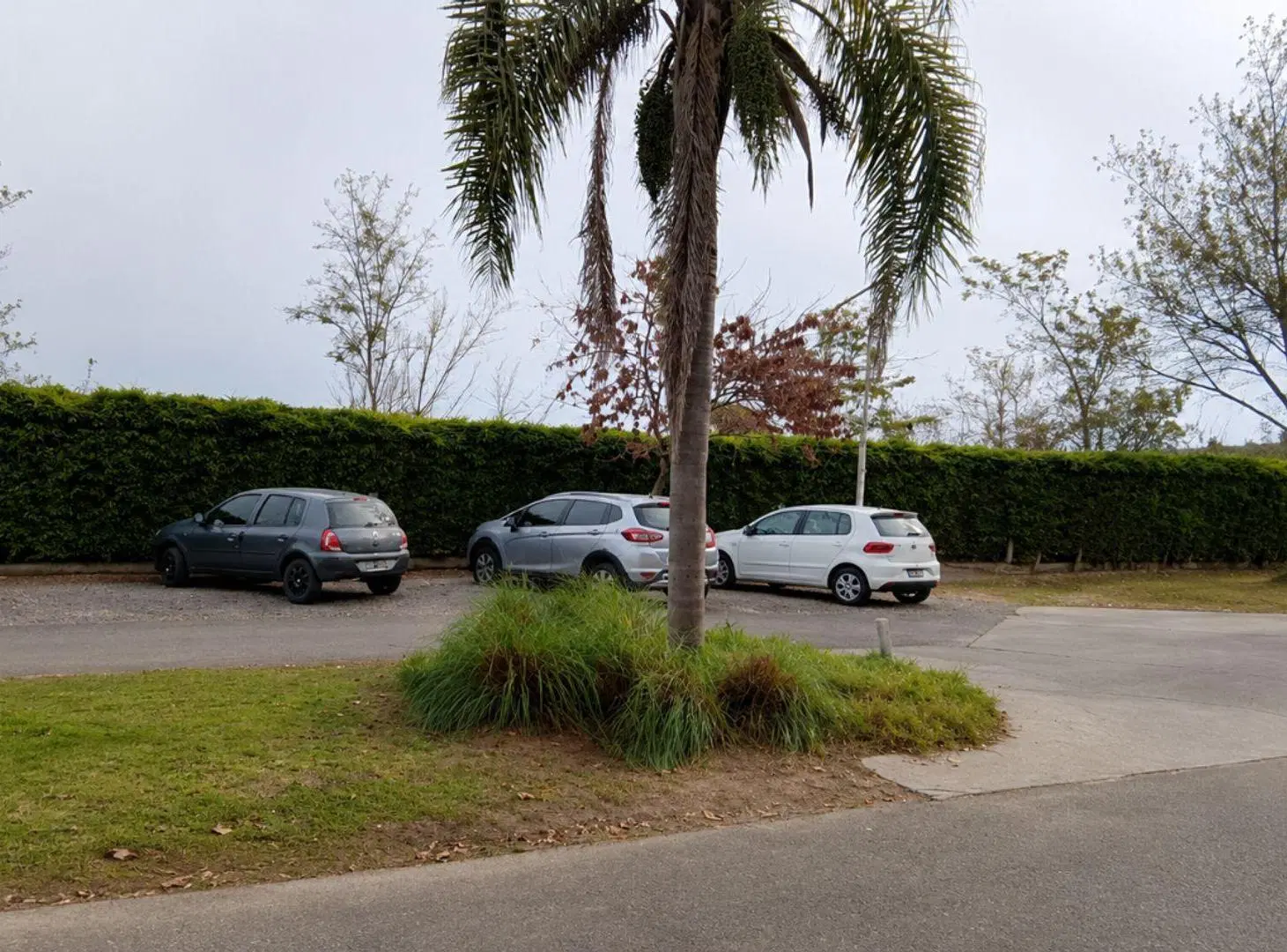 ALQUILER MONOAMBIENTE CON JARDIN ALTOS DEL MOLINO 5