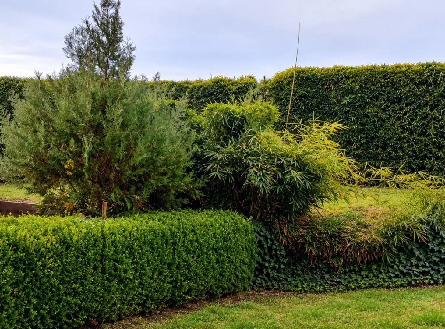 ALQUILER MONOAMBIENTE CON JARDIN ALTOS DEL MOLINO 4