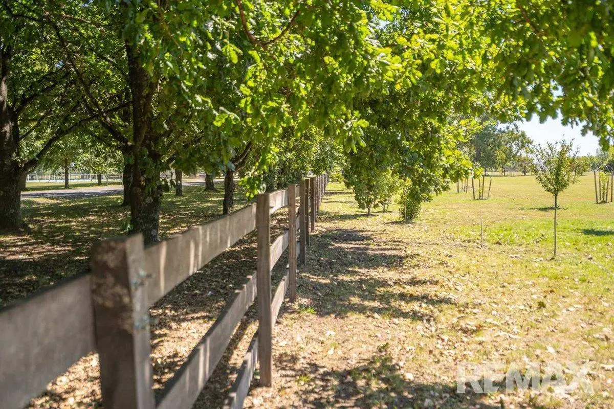VENTA CHACRA 1 Ha FORESTADA CANCHA DE POLO PERMUTA 2
