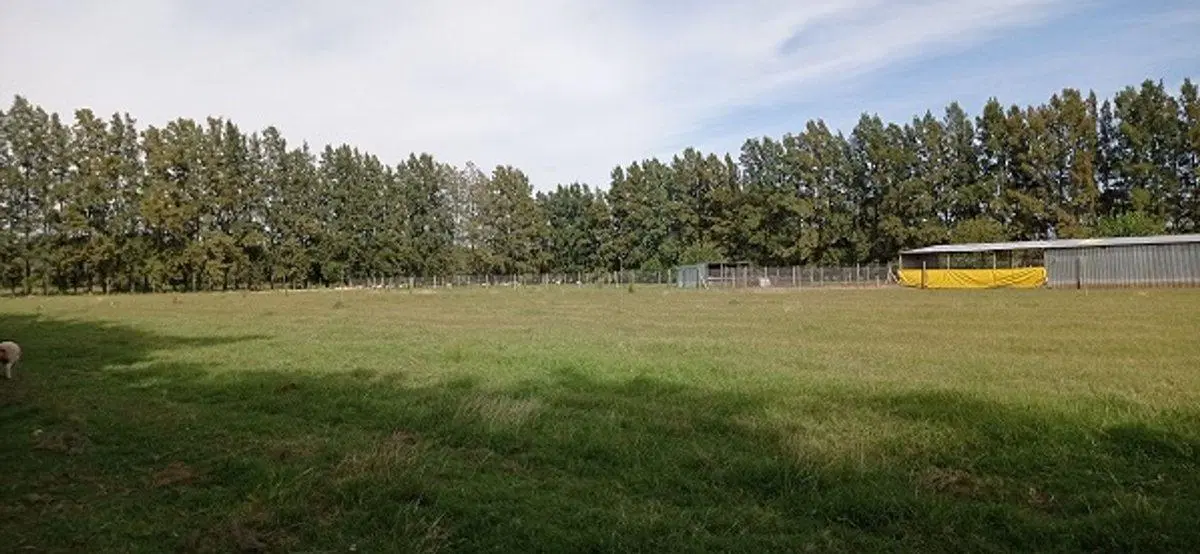 VENTA CAMPO EN CARDALES 5