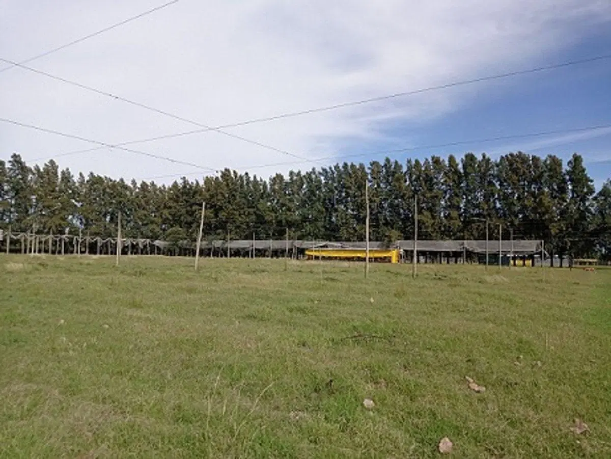 VENTA CAMPO EN CARDALES 3