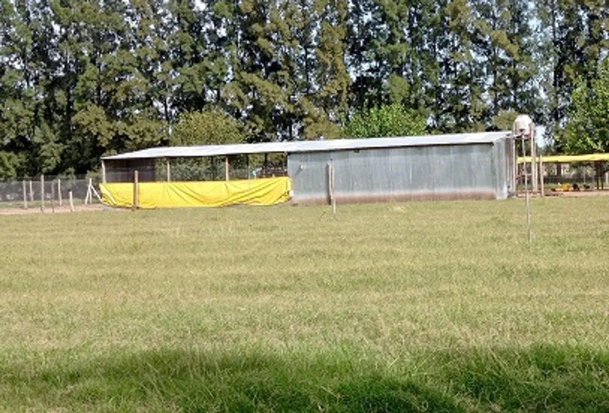 VENTA CAMPO EN CARDALES 2