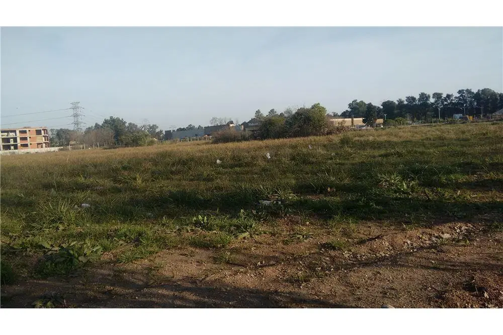 VENTA TERRENO 10.000 M2 EN PANAMERICANA PILAR. 4
