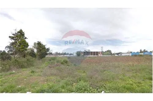 VENTA TERRENO 10.000 M2 EN PANAMERICANA PILAR. 3