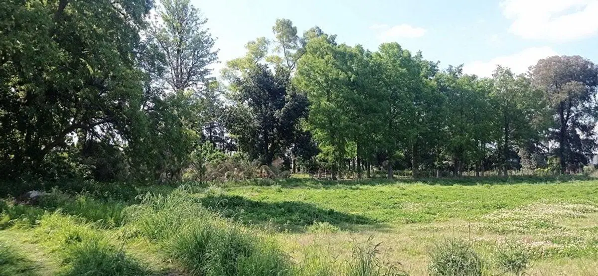 VENTA TERRENO 2.5 HAS  ZONA INDUSTRIAL. MORENO 5