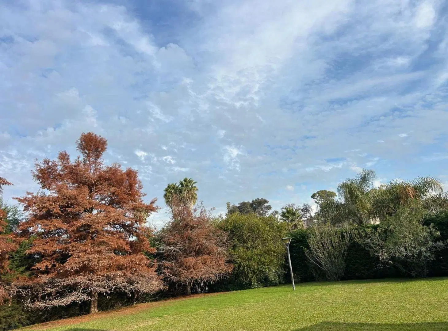 VENTA LOTE BARRIO PRIVADO VILLA OLIVOS 3