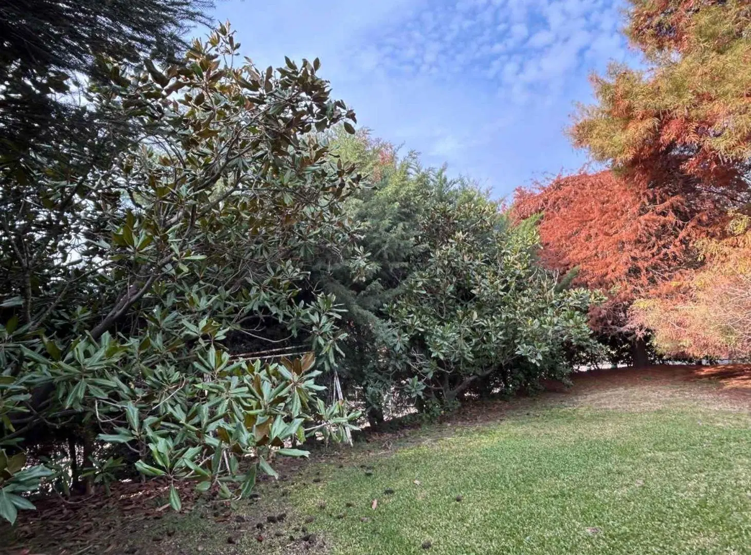 VENTA LOTE BARRIO PRIVADO VILLA OLIVOS 2