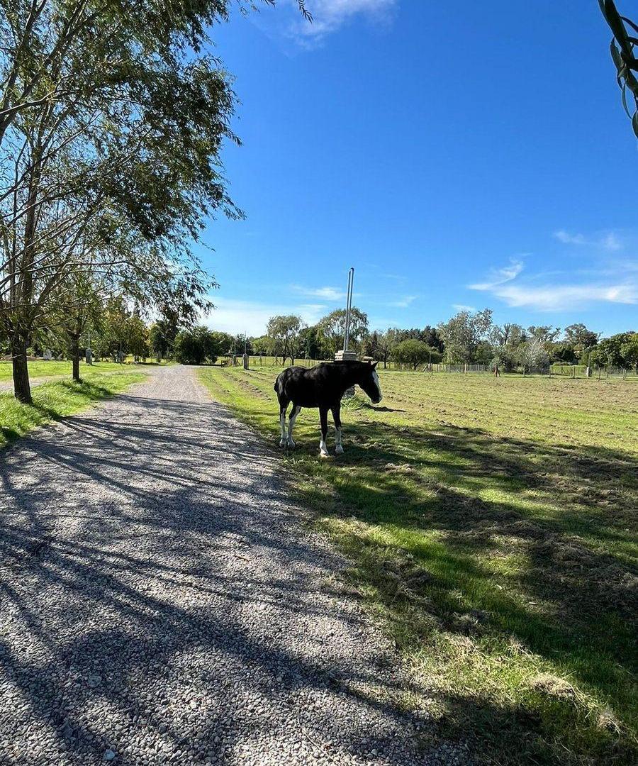 Venta lotes en Lomas de Manzanares Pilar