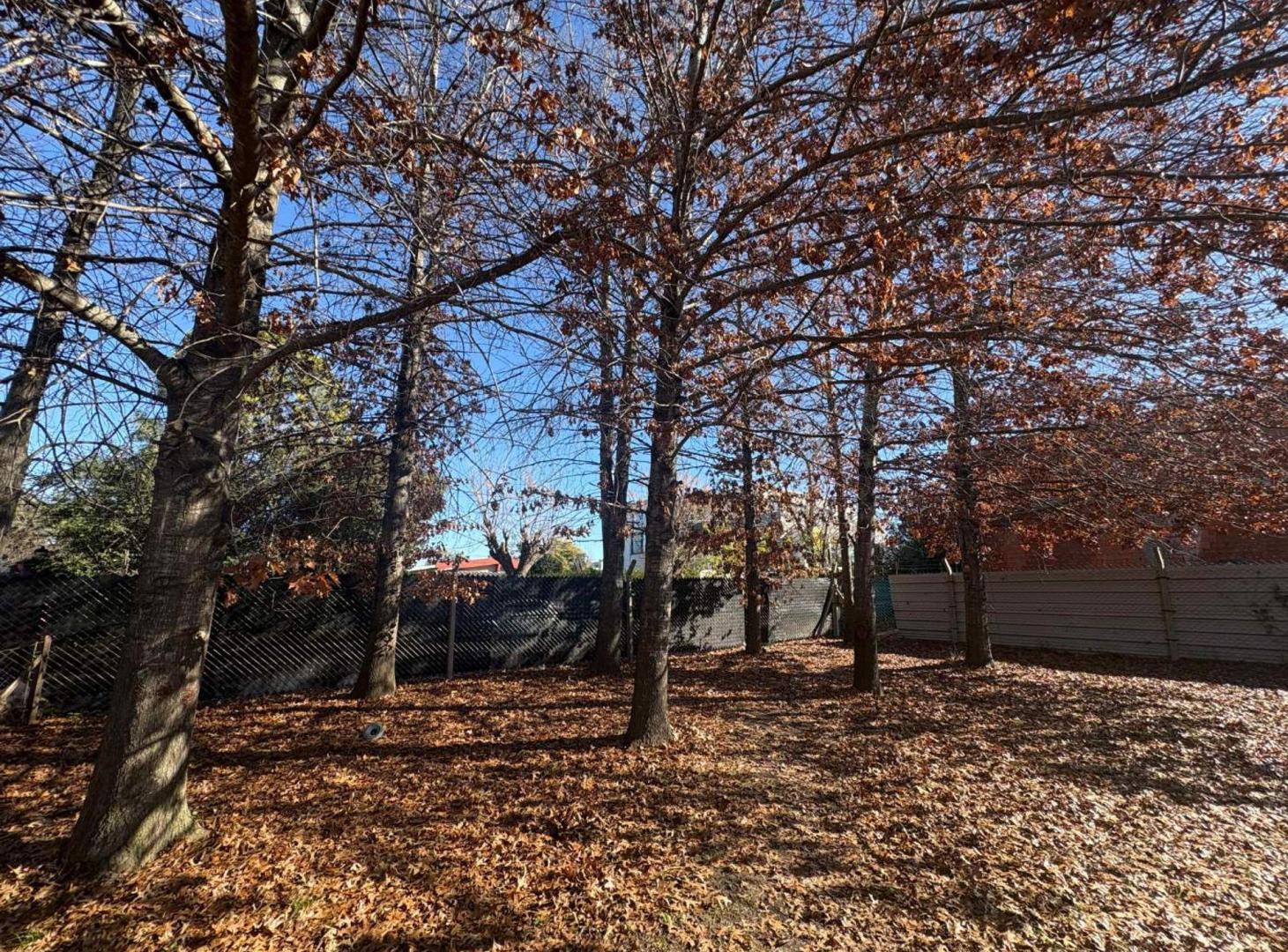 VENTA LOTE BARRIO LOS PARAISOS CARDALES ESCRITURA