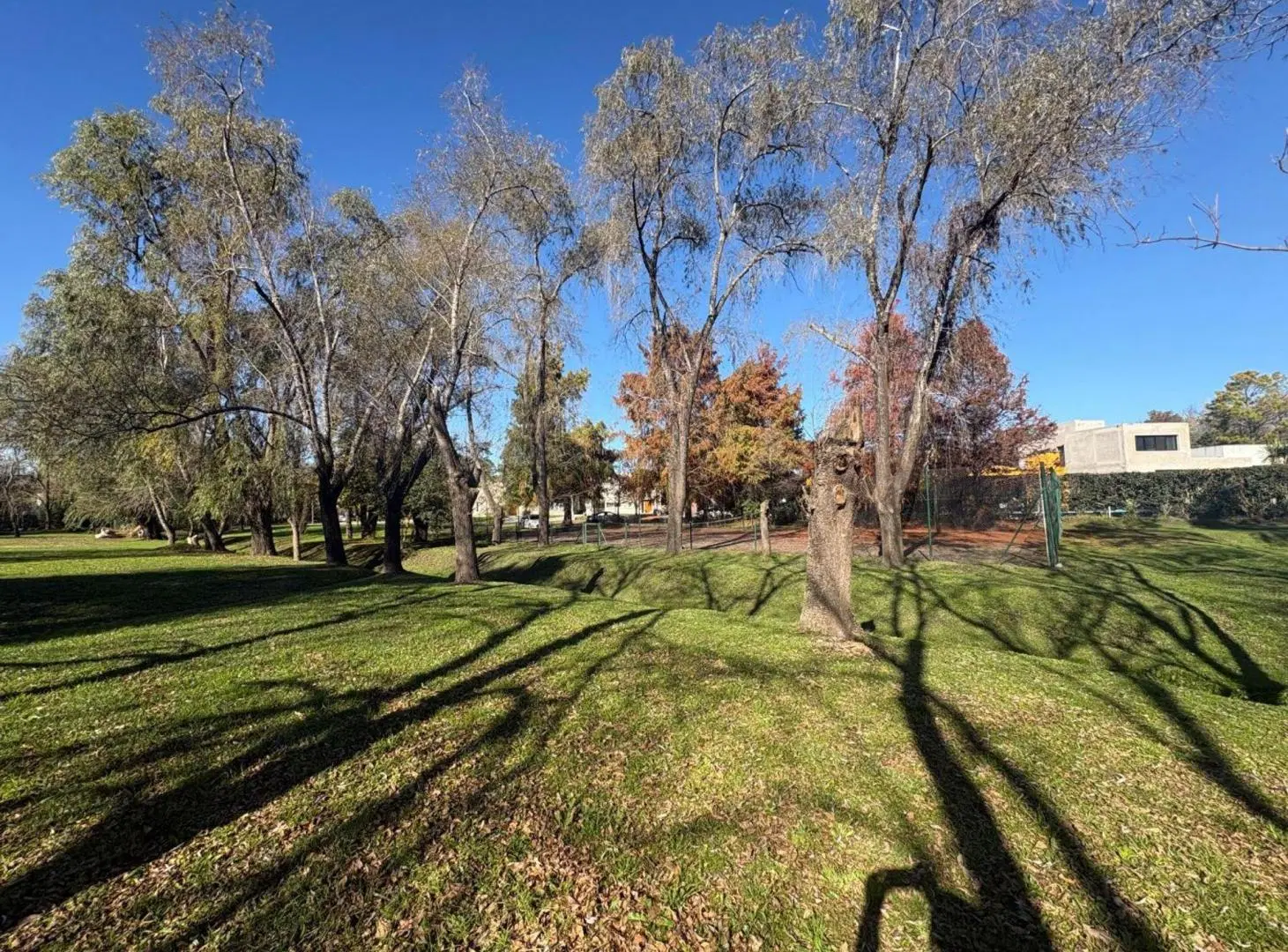 VENTA LOTE BARRIO LOS PARAISOS CARDALES ESCRITURA 4