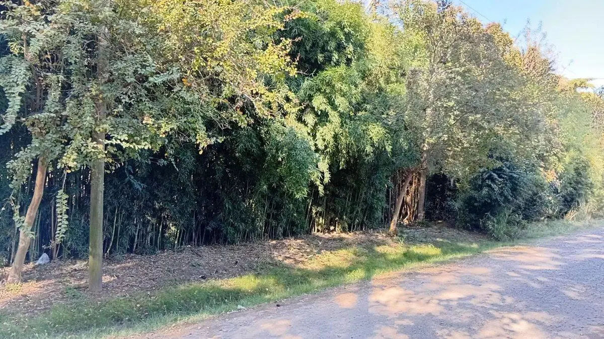 Venta terreno, 2812 M2 a 3 cuadras de R9 Zarate 3