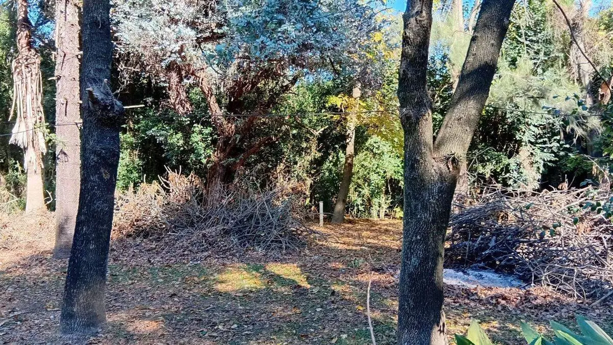 Venta terreno, 2812 M2 a 3 cuadras de R9 Zarate 4