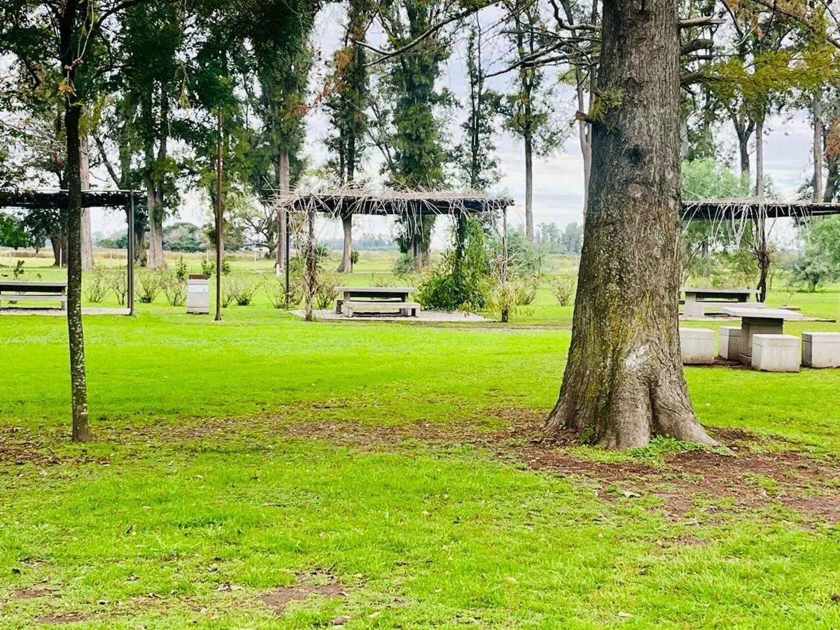 Lote 1000m2 En Barrio La Laguna Tres Pinos Venta 4