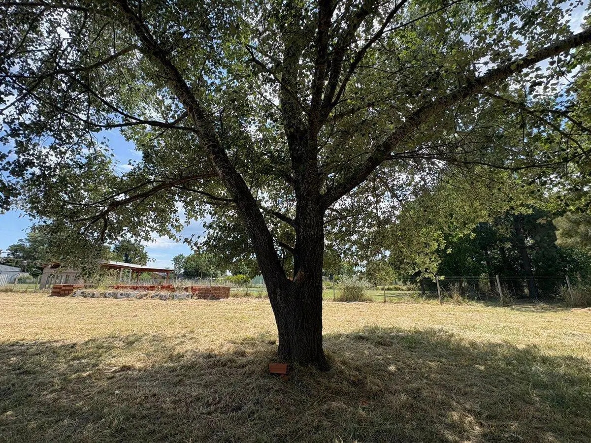 VENTA LOTE BARRIO SAKURA III EXALTACION DE LA CRUZ 4