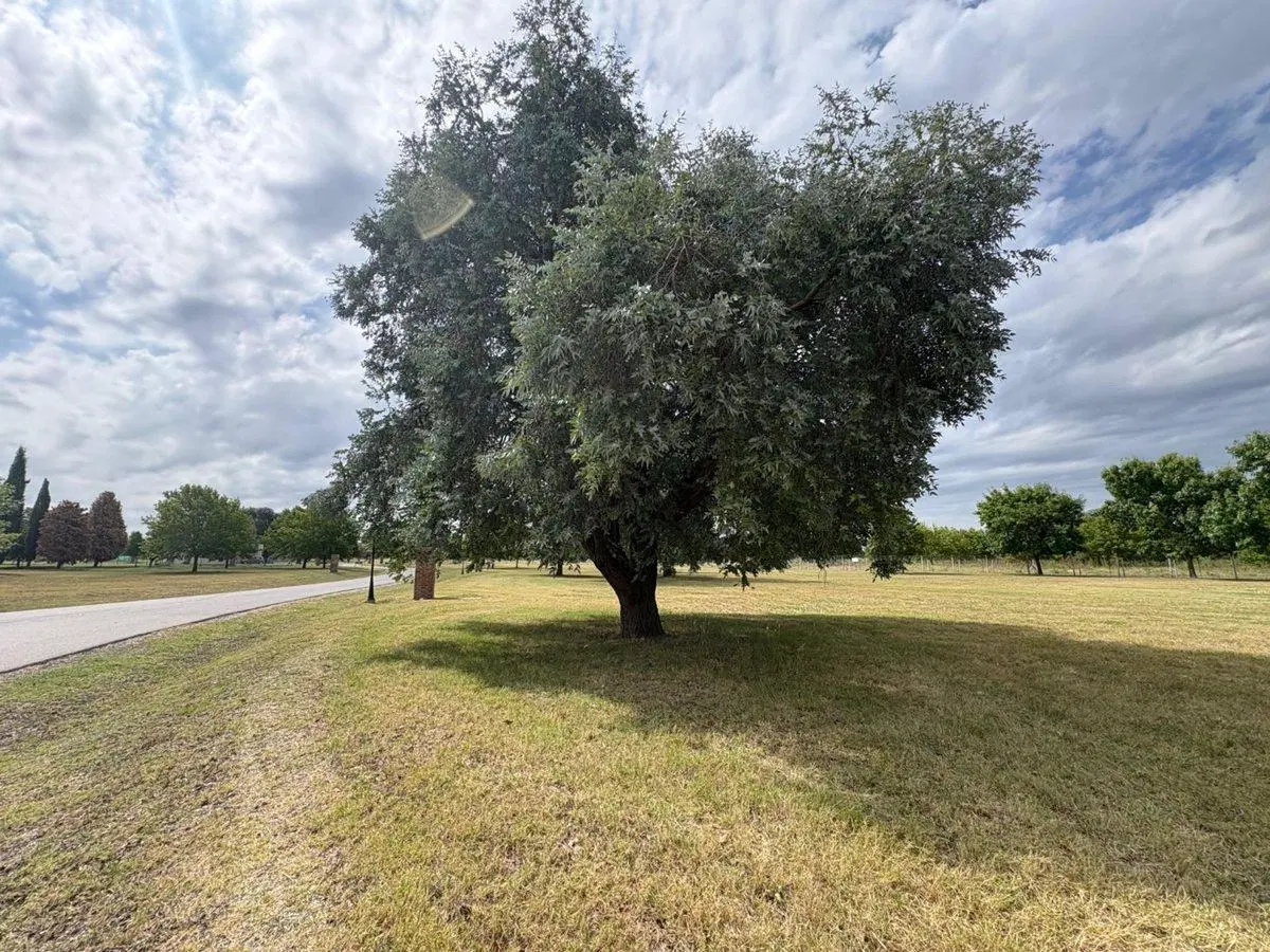 LOTE EN VENTA BARRIO MIRABOSQUES CARDALES ETAPA II 3