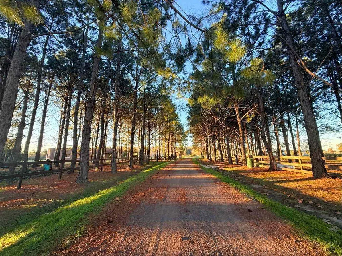 VENTA LOTE 1 ha ESTANCIA LA MACARENA CHACRA 2