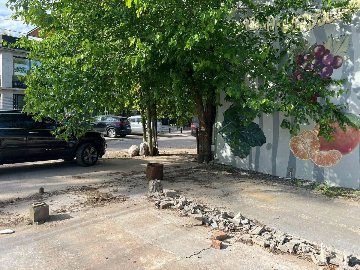 Alquiler terreno comercial en Tortugas Norte. 5