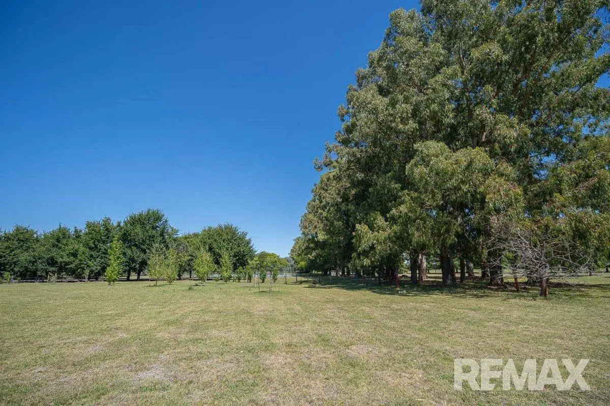 VENTA CHACRA 1 Ha FORESTADA CANCHA DE POLO PERMUTA 5