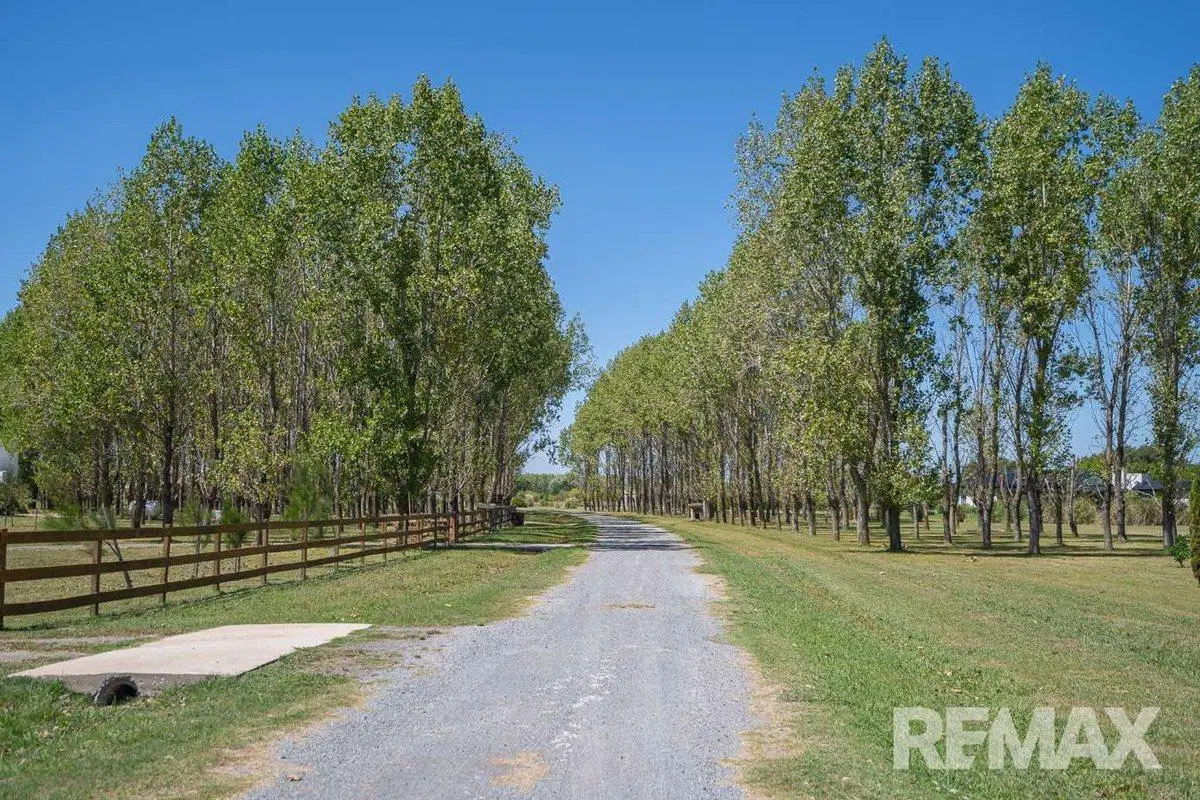 VENTA CHACRA 1 Ha FORESTADA CANCHA DE POLO PERMUTA 4