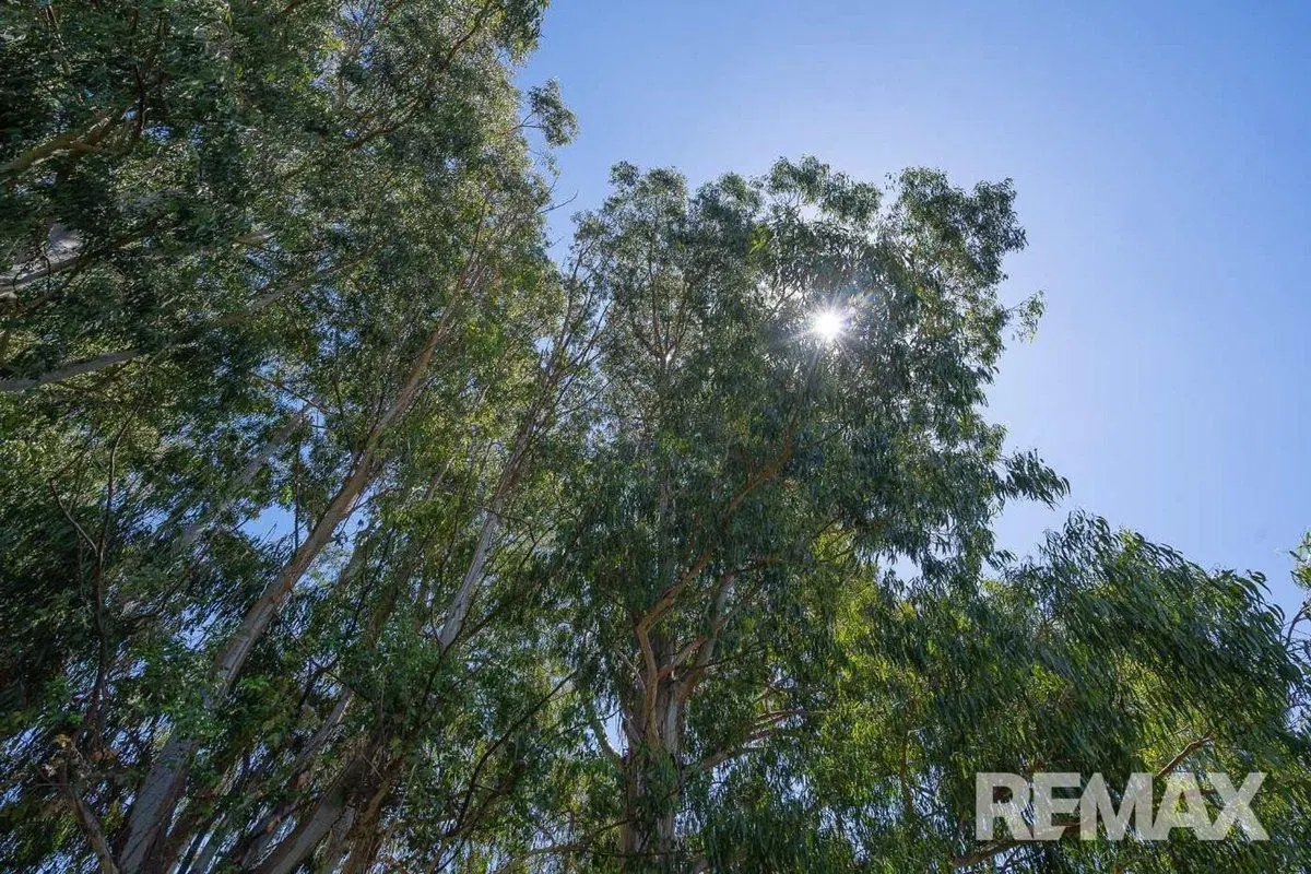 VENTA CHACRA 1 Ha FORESTADA CANCHA DE POLO PERMUTA 8