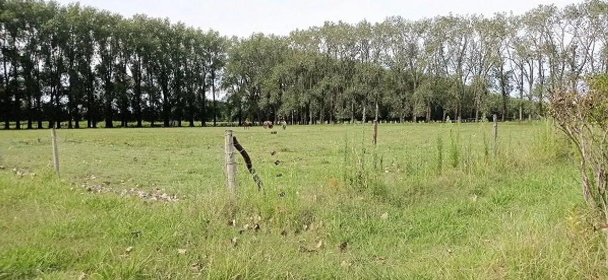 VENTA CAMPO EN CARDALES 4