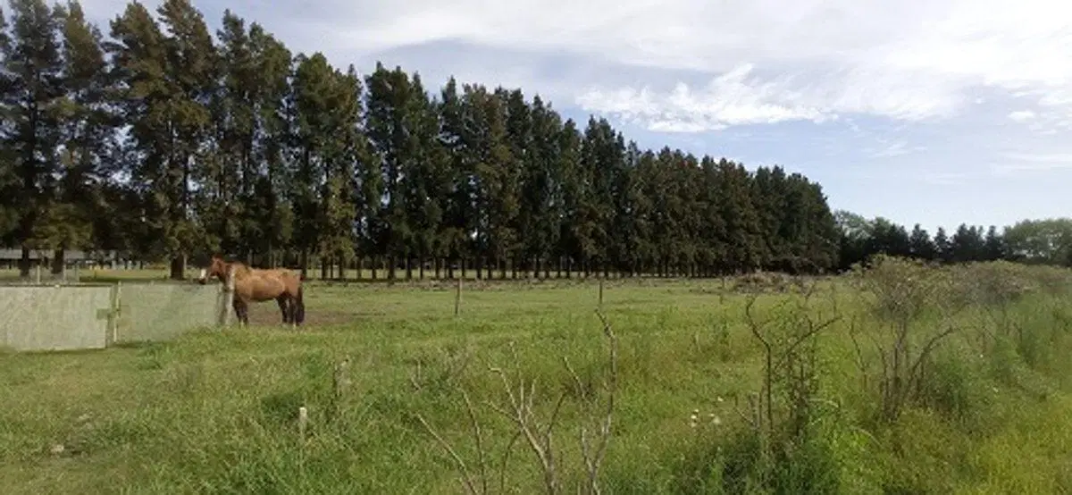 VENTA CAMPO EN CARDALES 2