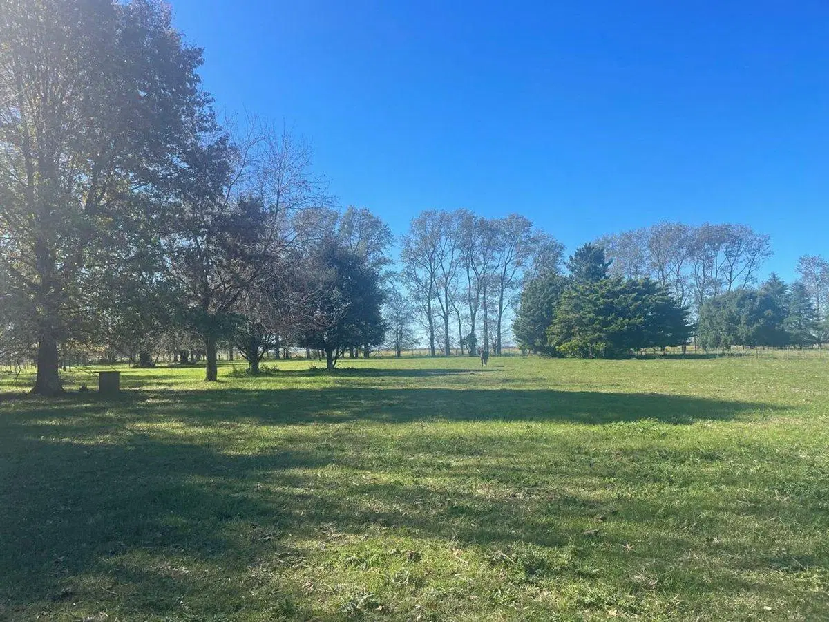 Venta Terreno 1,3 Has Con Financiación C.de Areco 2