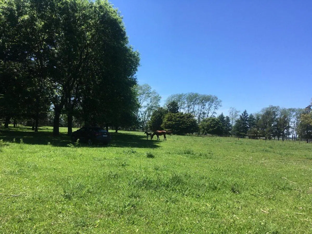 Venta Terreno 1,3 Has Con Financiación C.de Areco 4