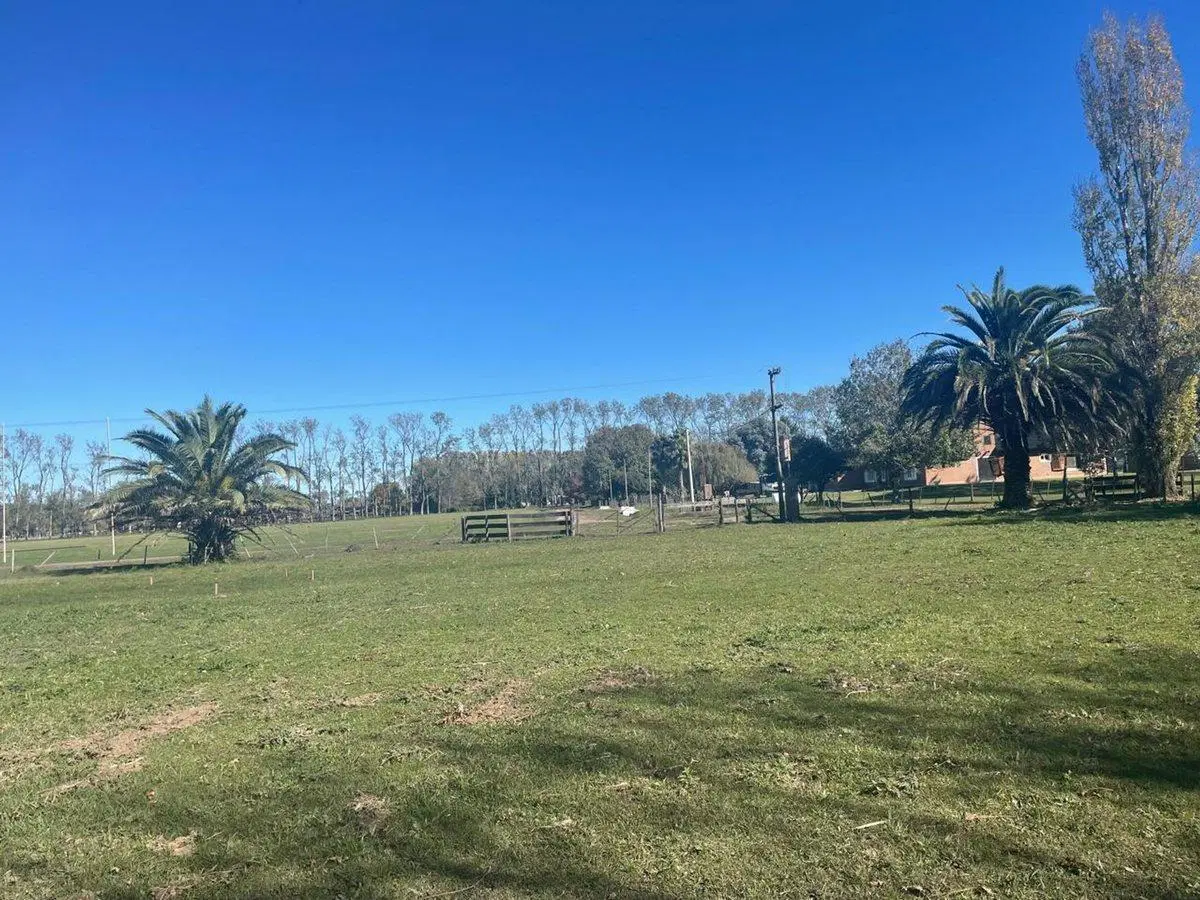 Venta Terreno 1,3 Has Con Financiación C.de Areco 3