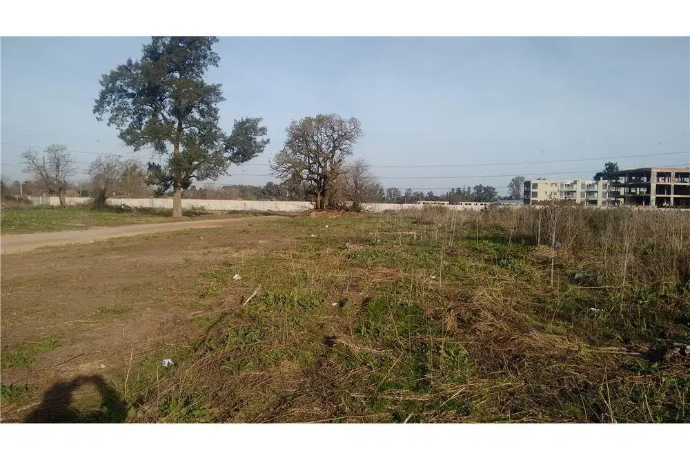 VENTA TERRENO 10.000 M2 EN PANAMERICANA PILAR. 8