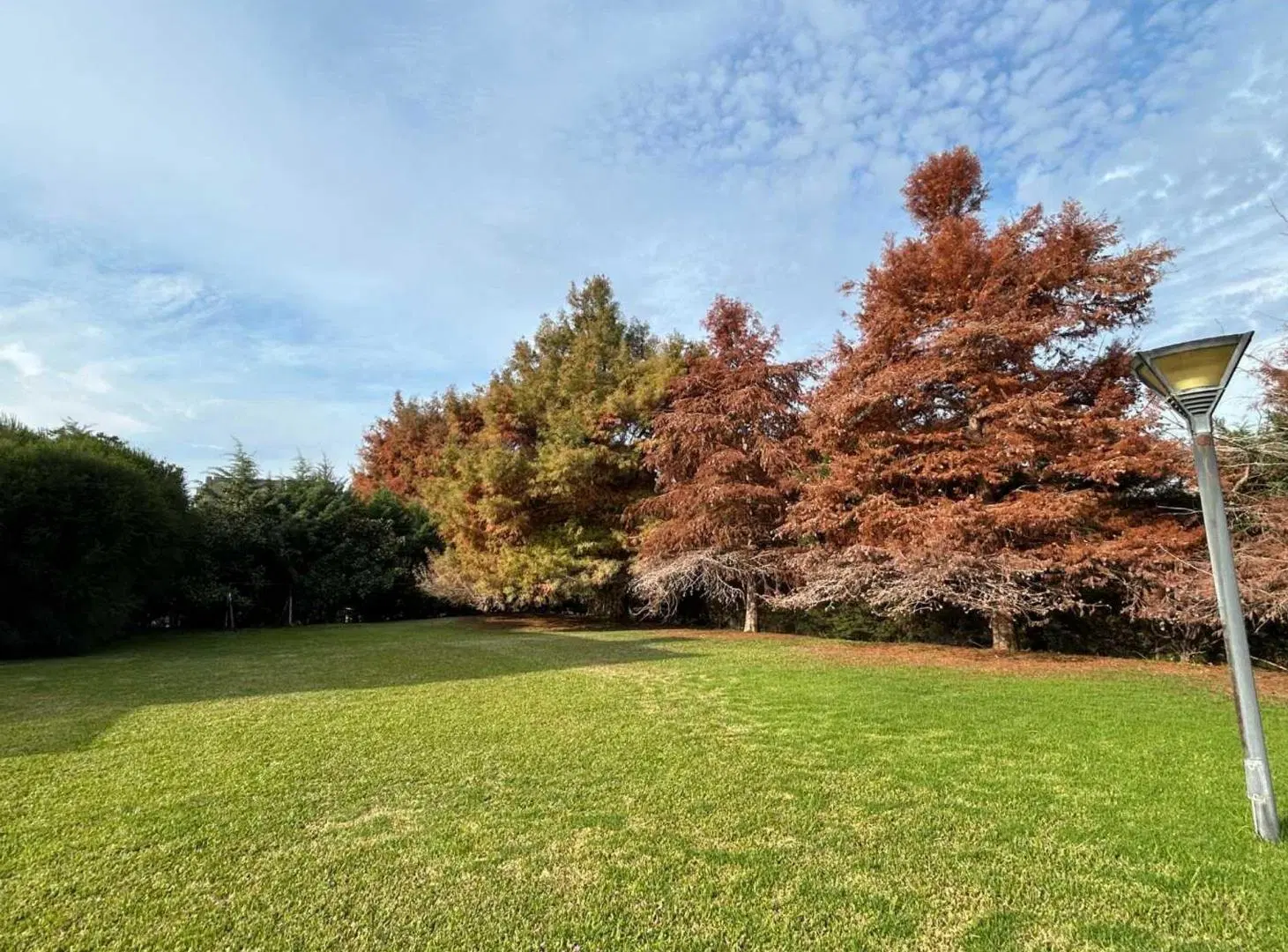 VENTA LOTE BARRIO PRIVADO VILLA OLIVOS 4