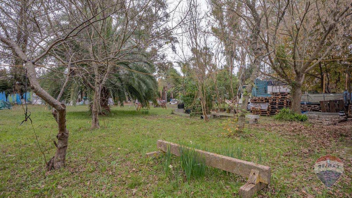 Foto de Quinta en venta 2500m2, barrio La Bota, Benavidez, imagen 3