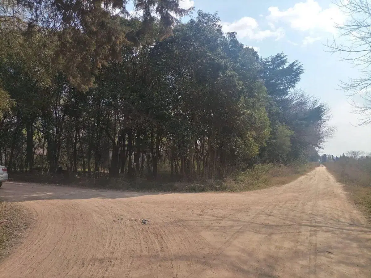 Venta de loteo/terr desarrollo, La Lonja  Pilar 1