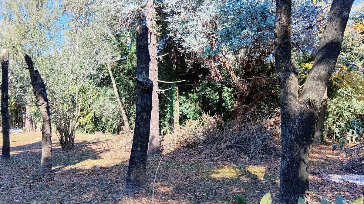 Foto de Venta terreno, 2812 M2 a 3 cuadras de R9 Zarate, imagen 3